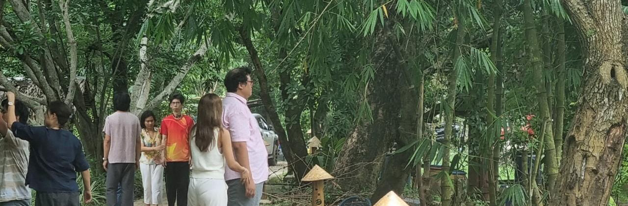 เดินชมธรรมชาติ