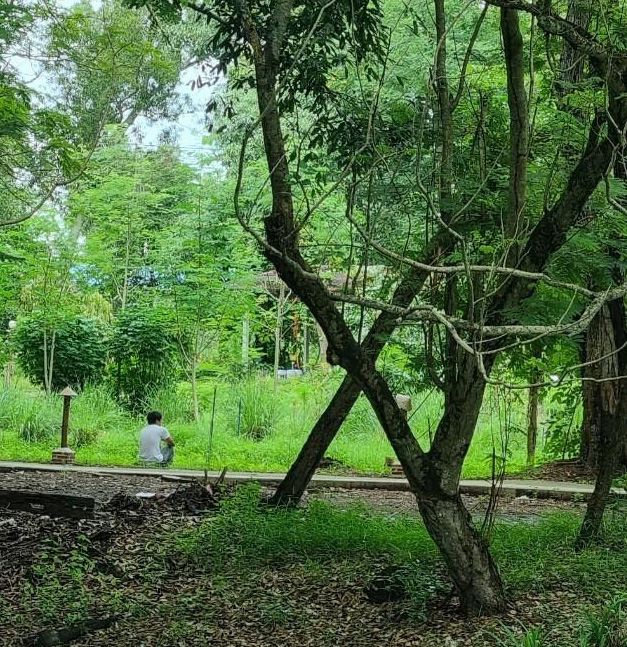 ธรรมชาติ